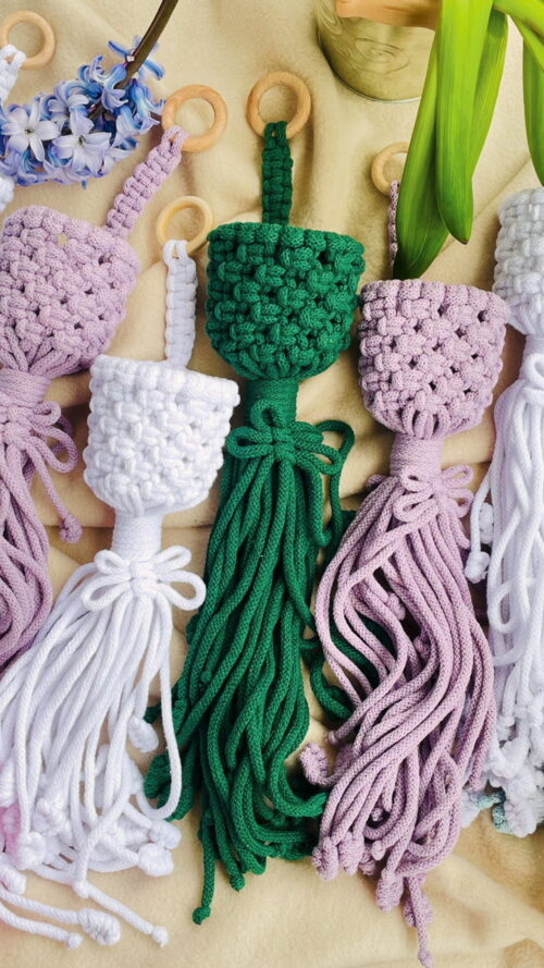 Kwietnik KOSZYCZEK na oplątwę