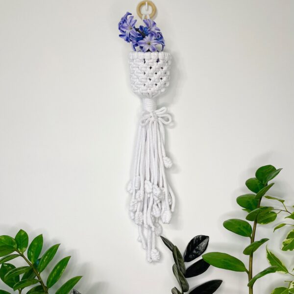 Kwietnik KOSZYCZEK na oplątwę 2