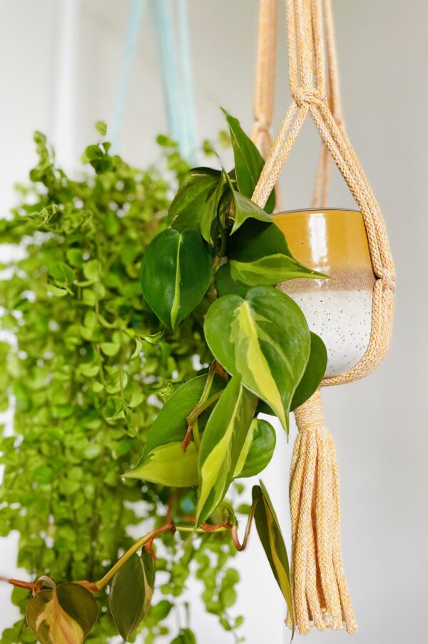 Pojedynczy kwietnik makrama 2