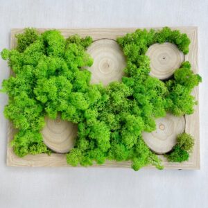 Ramka z zielonym mchem chrobotkiem 2