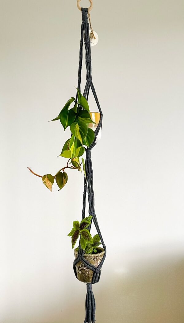 Podwójny kwietnik GAJANA