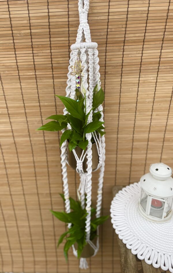 Kwietnik podwójny LOTOS