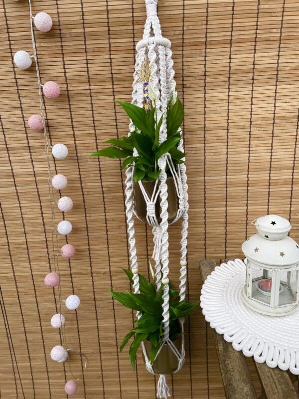 Kwietnik podwójny LOTOS