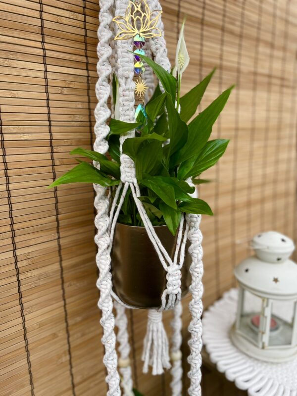 Kwietnik podwójny LOTOS