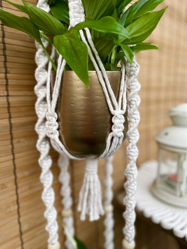 Kwietnik podwójny LOTOS