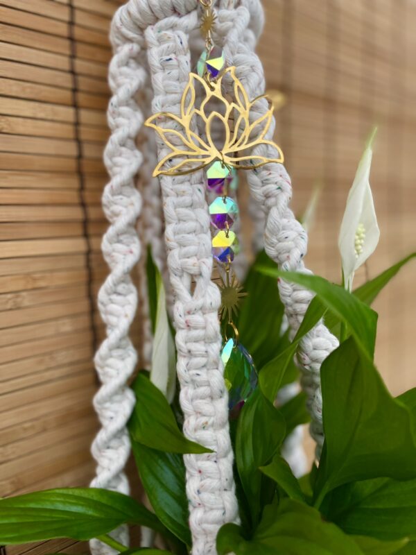 Kwietnik podwójny LOTOS