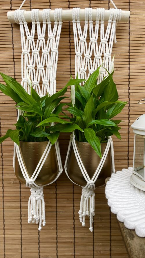 Kwietnik podwójny BOHO