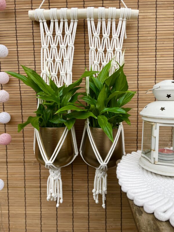 Kwietnik podwójny BOHO