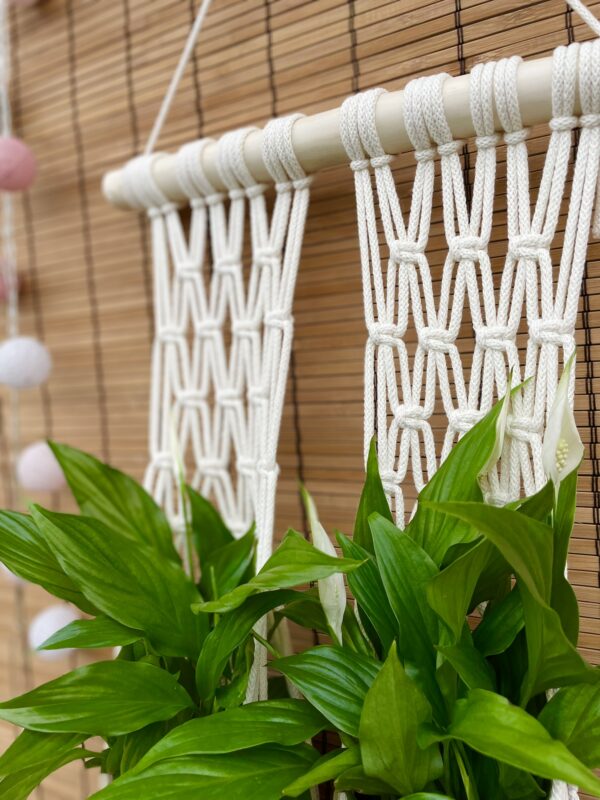 Kwietnik podwójny BOHO