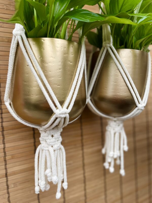 Kwietnik podwójny BOHO