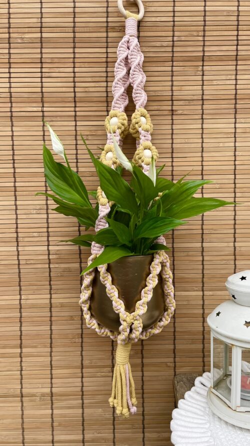 Kwietnik DAISY miodowo różowy